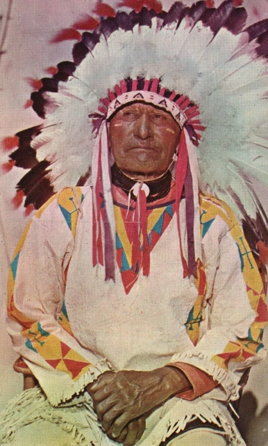 Vintage Postcard Old Sioux Indian Wisconsin Dells Wisconsin WI H. H. Bennet Pub.