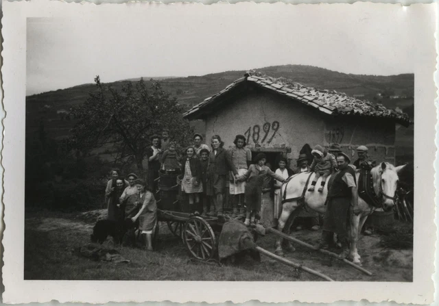 Photo Ancienne - Vintage Snapshot - Vendanges Attelage Cheval - Grape Harvest 1