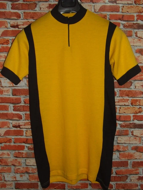 Maillot cycliste vintage TI RALEIGH CAMPAGNOLO