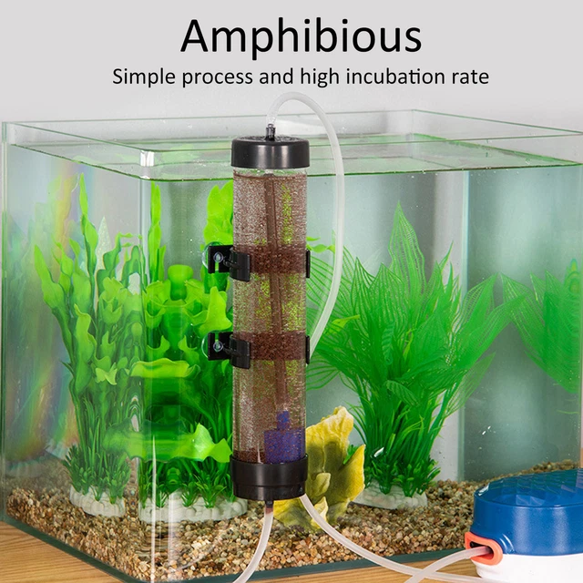 Prawn Incubator Shrimp Eggs Incubator Hatchery Kit Aquarium Fish Tank Hgf