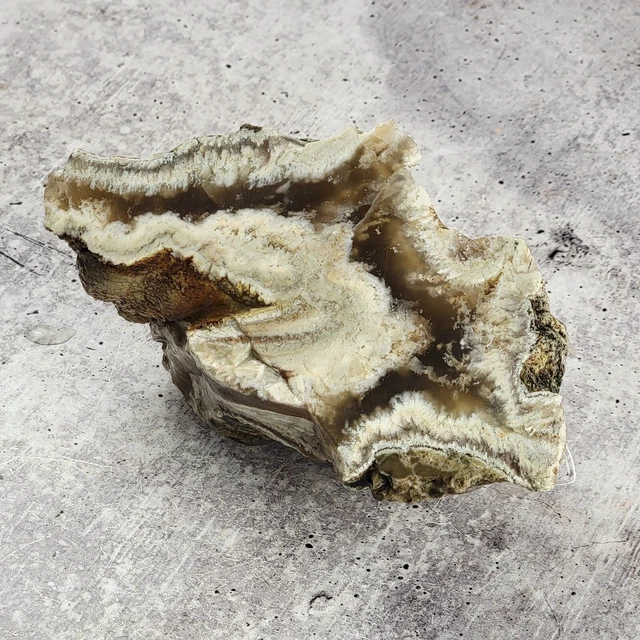 Nyssa Plume Agate - 1lb 7.3oz Rough Rock