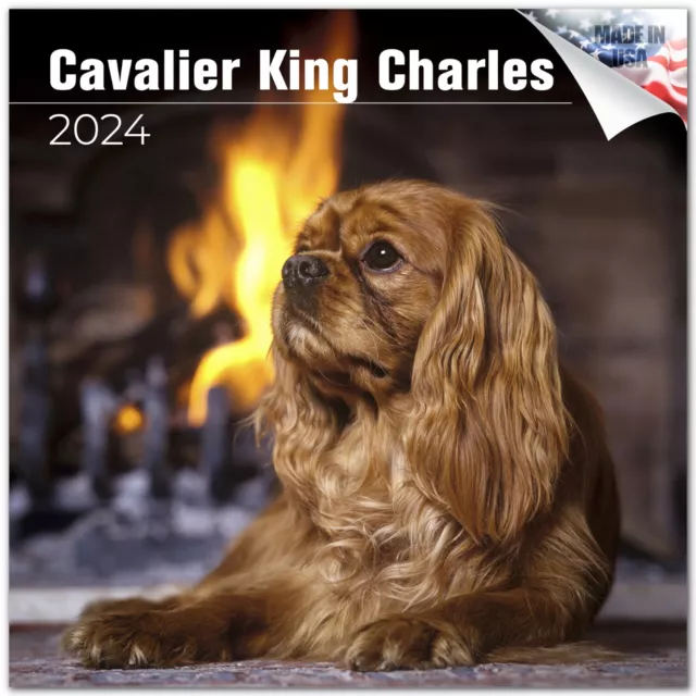 King Charles Iii Calendar 2024 Staci Elladine