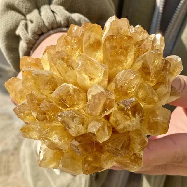 1.6LB New Find Yellow Phantom Quartz Crystal Cluster Mineral Specimen Healing