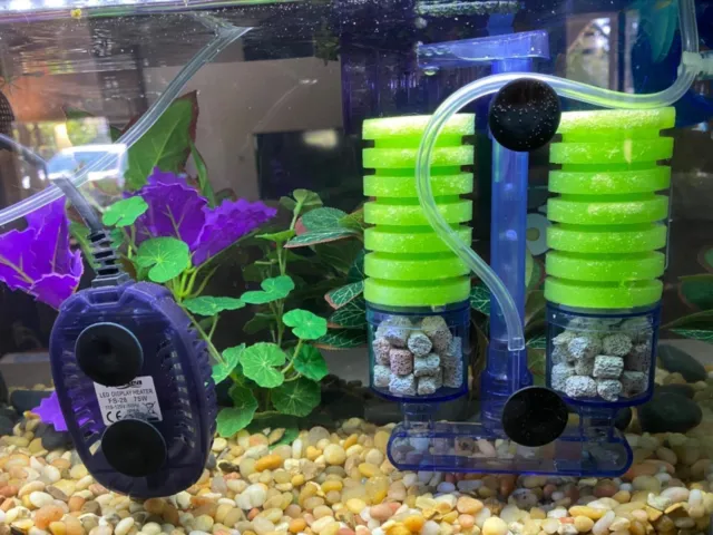 Aquarium Sponge Filter 55 Gal Betta Fry Shrimp Driven Fish Tank Filter Air Pump 3