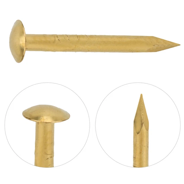 Exacompta 14751E 100er Pack Reißnägel 9mm aus Messing bunt in Kunststoffbox