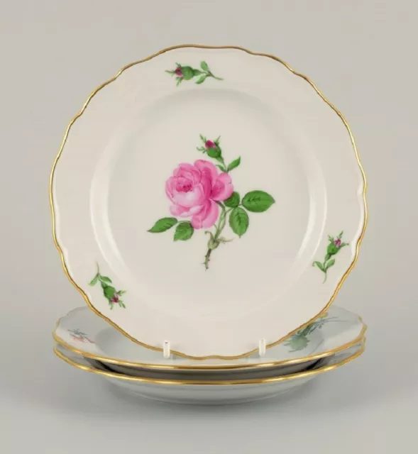 Meissen, Germany, three plates hand painted with flowers and gold decoration.