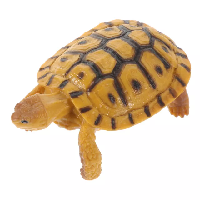 Modello tartaruga in plastica, decorazione tartaruga terrestre, realistico