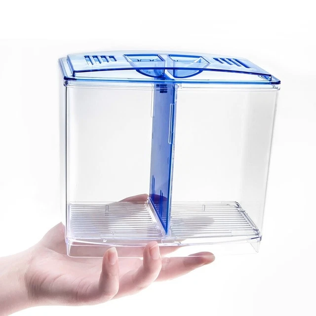 Betta Fish Tank - Small Aquarium with Divider - 2/5 Gallon Acrylic Fish Jar 7