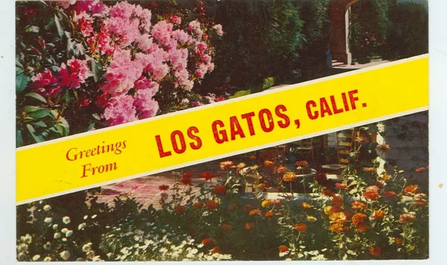 California-Greetings From Los Gatos-Splitview-Flowers-#8491G (Ribbon-Ca)