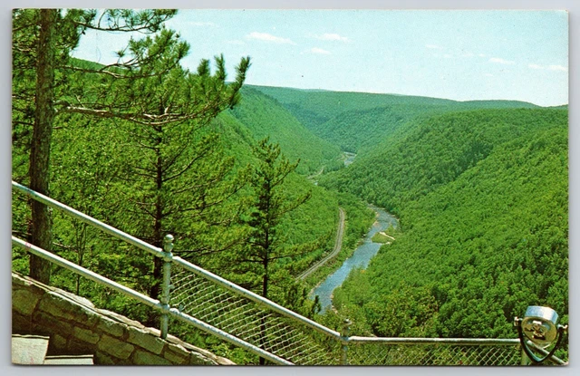 South View Of Pennsylvania's Grand Canyon Lookout Harrison State Park PA Chrome