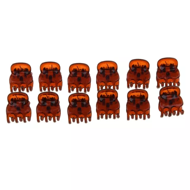 7X(12 Stueck Federgelenk Kunststoff  Haarklammern Clips fuer Lady K2Z5)6438