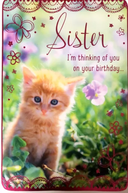 HAPPY BIRTHDAY SISTER I’m Thinking Of You, Kitten Cat, Hallmark