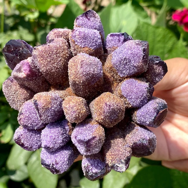 1.2LB New Find purple Phantom Quartz Crystal Cluster Mineral Specimen Healing