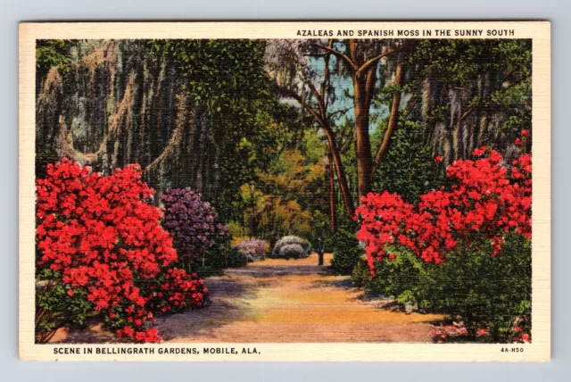 Mobile AL-Alabama, Bellingrath Gardens, Azaleas/ Spanish Moss Vintage Postcard