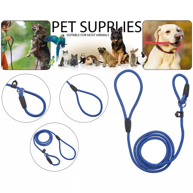 Nylon Slip On Rope Dog Puppy Pet Training Lead Leash No Collar Needed ~m'