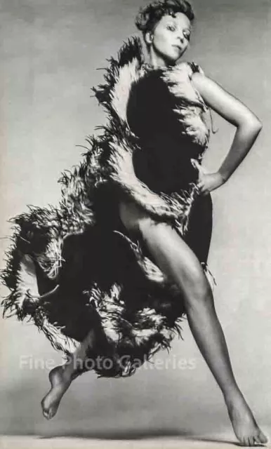 1968 Paris Female Fashion By RICHARD AVEDON Large Format Duotone Photo Art 16X20