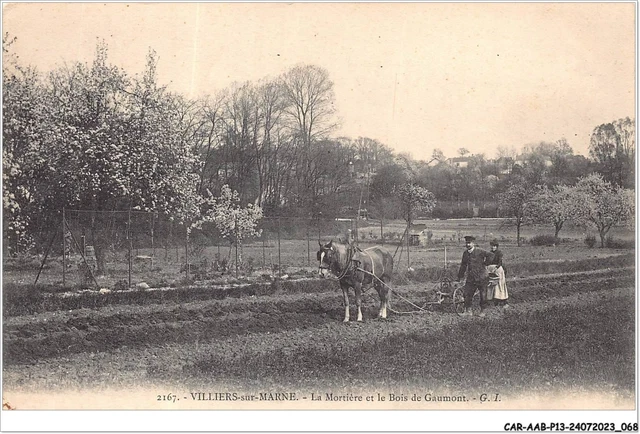 CAR-AABP13-94-1021 - VILLIERS-SUR-MARNE - la mortière et le bois de ga