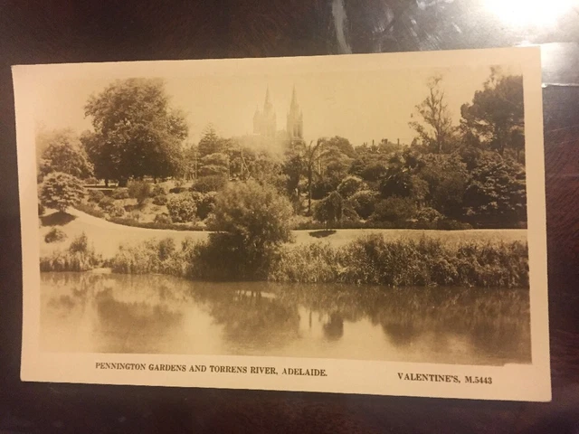 Pennington Gardens Torrens River Adelaide VALENTINE'S REAL PHOTO POSTCARD M5443