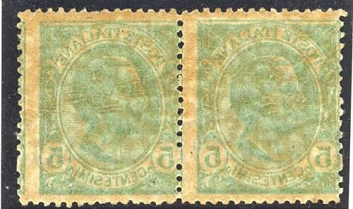 1906 Regno d'Italia - 5 cent. tipo Leoni coppia con decalco MNH**