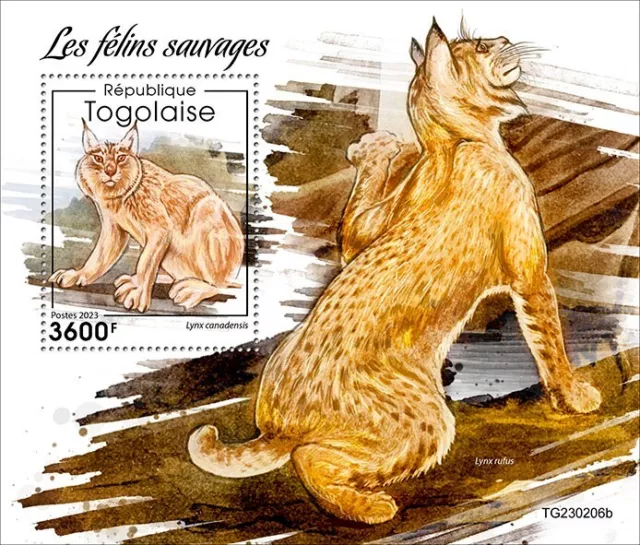 2024 04 - TOGO - WILD CATS             1V  complet set    MNH **