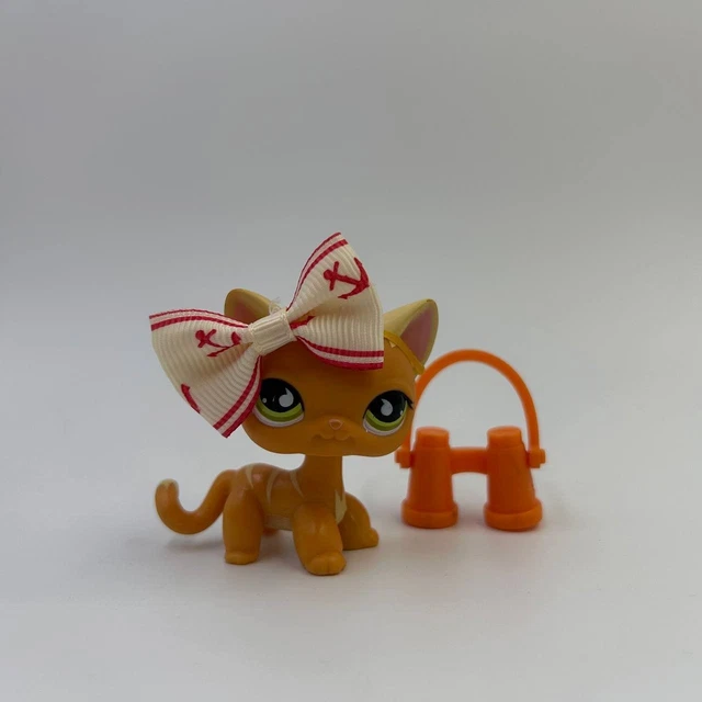 Petshop Chat Européen 733 Authentique