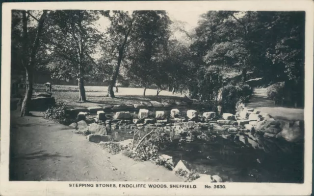 Real photo Sheffield stepping stones endcliffe woods 1910