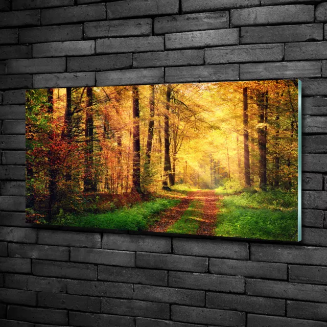 Wandbild aus Plexiglas® Druck auf Acryl 100x50 Landschaften Herbstwald