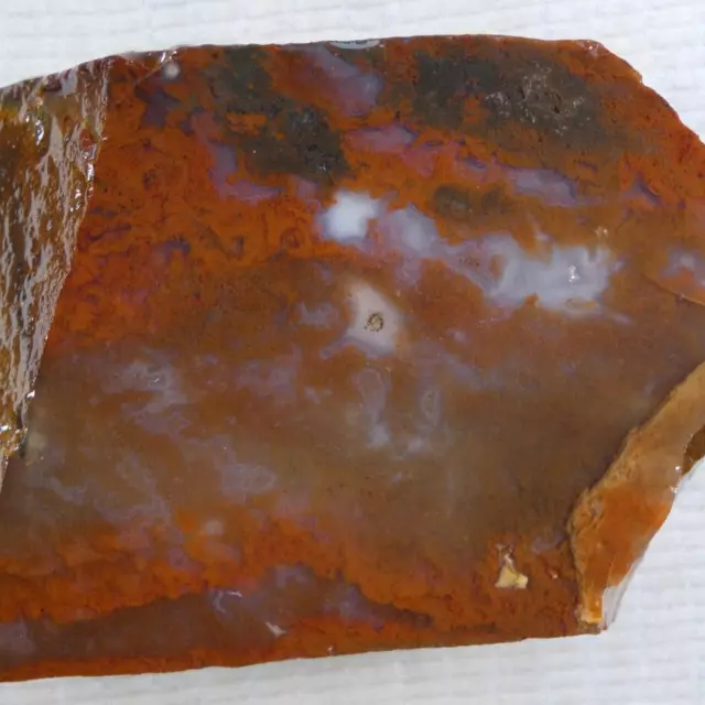 RimRock: 1.55 Lbs CAREY PLUME AGATE Faced Rough