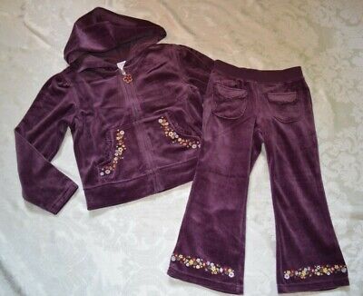 Gymboree AUTUMN HIGHLANDS Purple Zip Hooded Jacket & Pants Set Outfit NWT 4 5