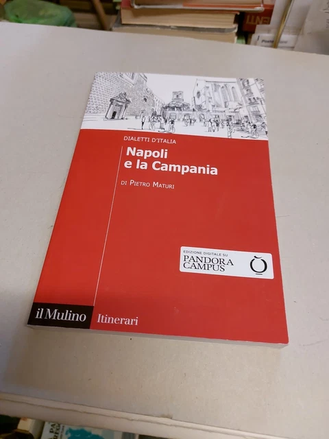 NAPOLI E LA CAMPANIA - MATURI PIETRO - Il Mulino 7f24