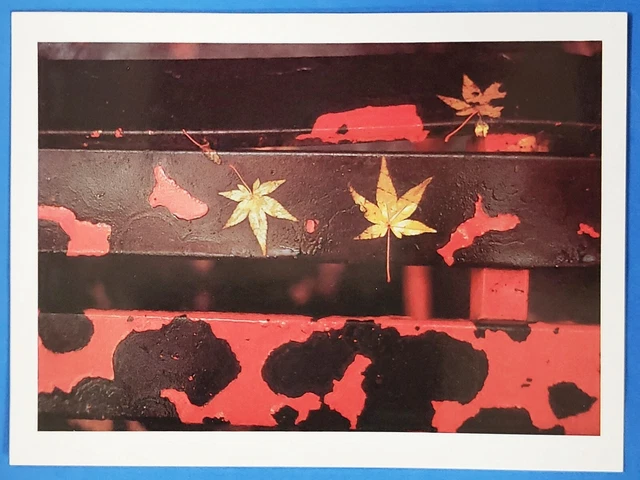 Red Postcard Ernst Haas, Japanese Bench in Autumn, Kyoto Japan 1994, Leaves