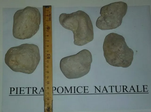 Pietra Pomice 100% Naturale Rimuovi Callo Pelle Morta Dura abrasiva  7x4 Cm