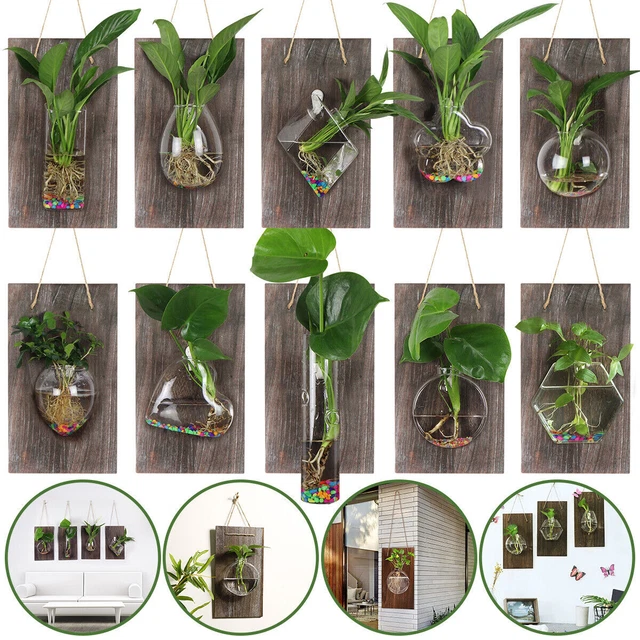 Wall Hanging Planter Terrarium Propagation Plant Station Plant Pots Flower Vase