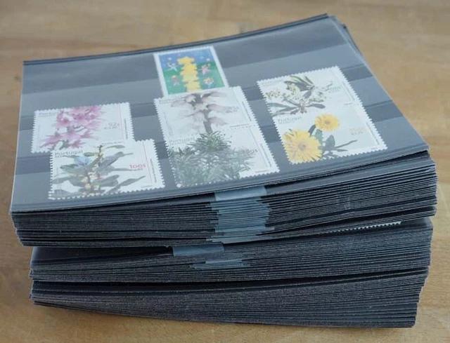 2000 Portugal Madeira;  75 komplette Jahrgänge ohne Blocks, **/MNH, ME 937,-