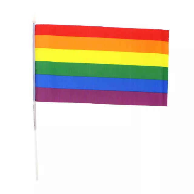 30 x 16.5cm Gay Pride Festival Rainbow Flag with Handle