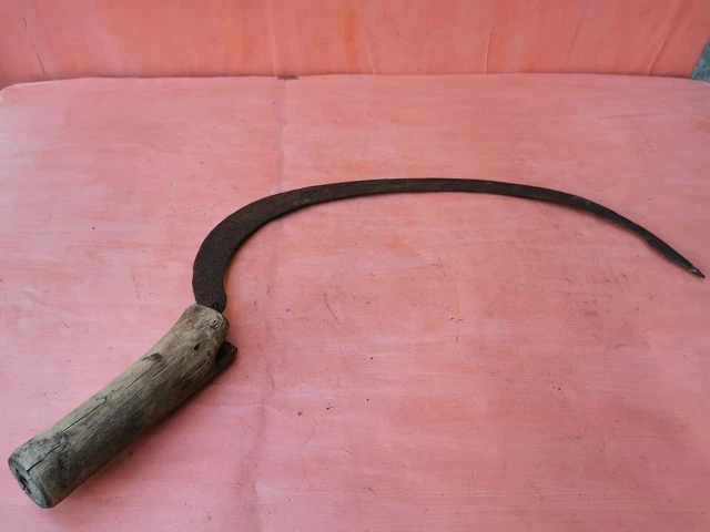 Peigne à Curry pour Cheval, Peigne à Crinière pour