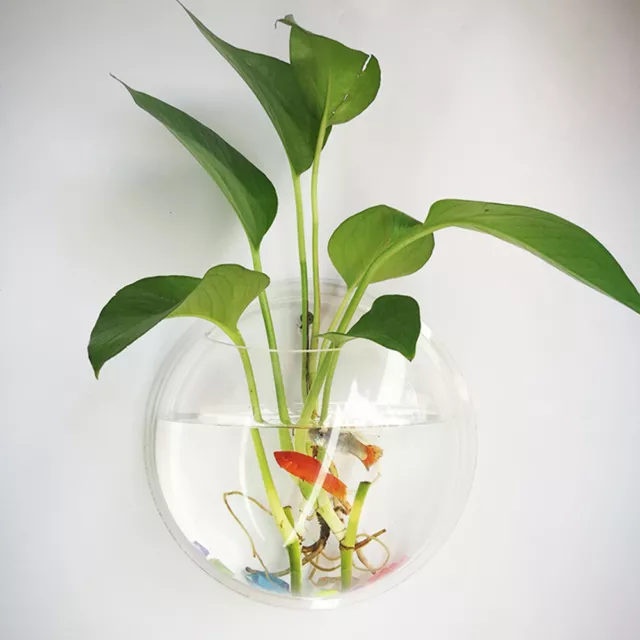 19.5cm Wall Mounted Hanging Fish Bowl Aquarium Tank Plant Flowerpot Vase
