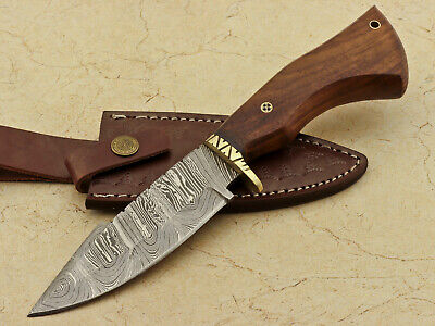 Custom Forged Handmade Damascus 10" Camping Sport Hunting/Bowie Knife- Rose Wood