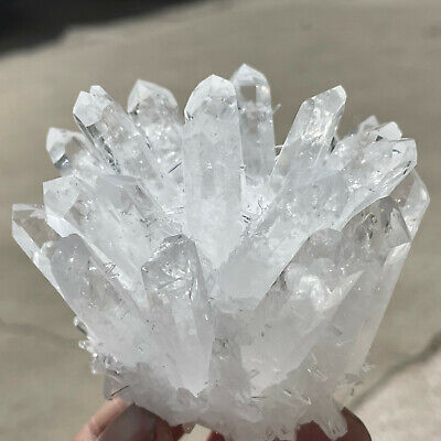 357g New Find White Clear Quartz Crystal Cluster Mineral Specimen Healing