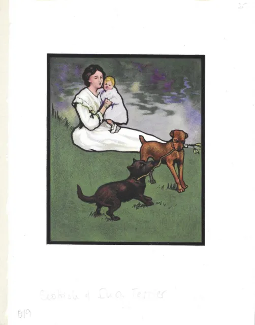 1910 John Edwin Noble Art Print Dog Lovers Book IRISH SCOTTISH TERRIER Landscape