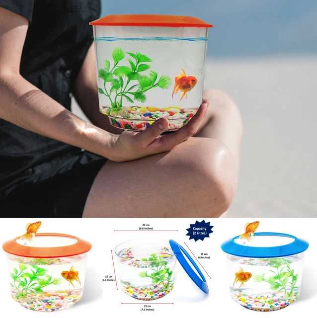 Goldfish Small Fish Bowl Fish Tank Starter Kit Aquarium Gravel Ornamental Plant