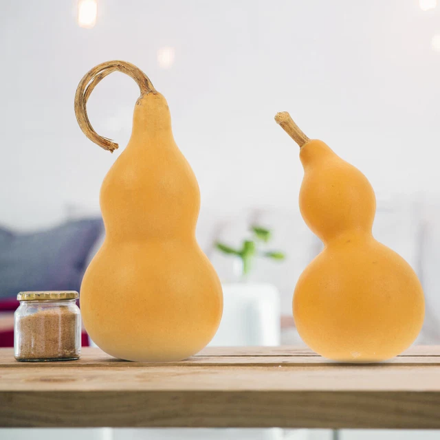 2 Pcs Courge Naturelle Gourde Taille Pressée En Peau Blanche Enfant Wu