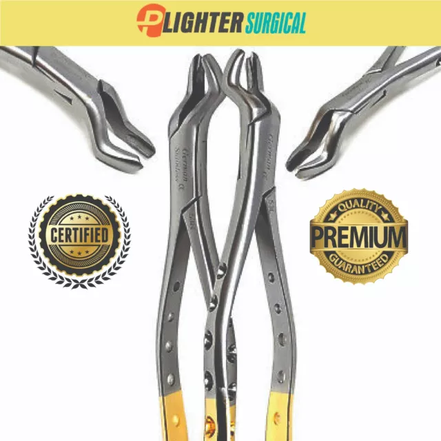 Premium German Dental Tooth Extracting Forceps Extraction Dental Instruments