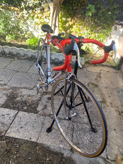 BICI DA CORSA bottecchia anni 70/80 completamente revisionata e