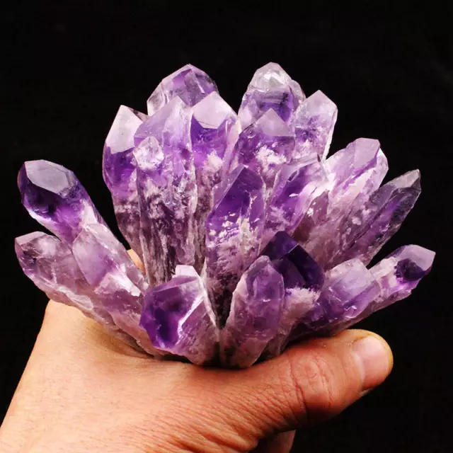 1Pc Natural Amethyst Quartz Geode Druzy Crystal Cluster Scepter Specimen Healing