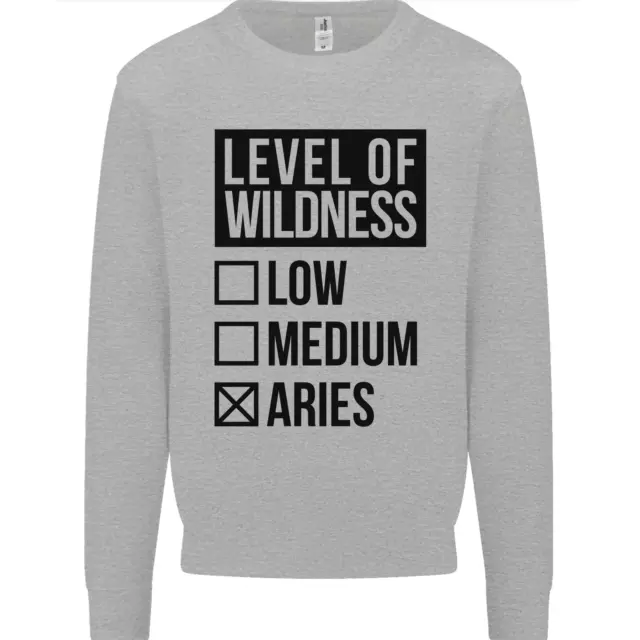 Levels of Wildness Aries Mens Sweatshirt Jumper