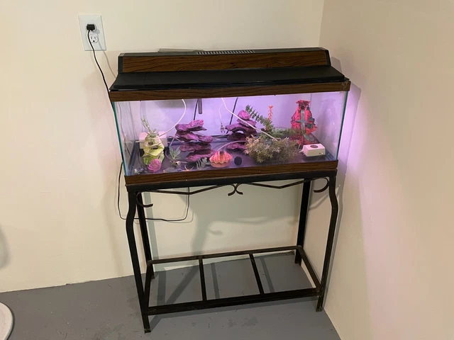 18 Gallon Aquarium