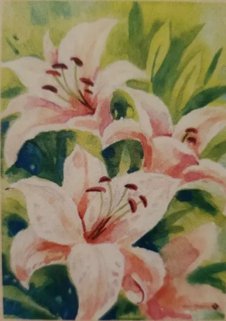 TOLAND "Up Close & Lily" decorative 28 x 40 Beautiful floral house flag.