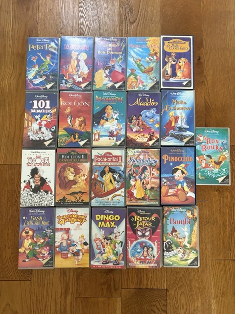 Lot De 24 VHS 'Regards Sur La Peinture' – Collection Complète Éditions Fabbri, Neuve Sous Blister