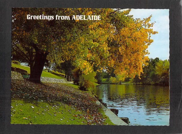 C7972 Australia SA Adelaide River Torrens AL17 Trueview postcard